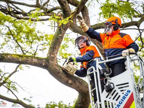 Einsatzdokumentation Feuerwehr Soest