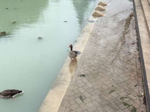 Einsatzdokumentation Feuerwehr Soest